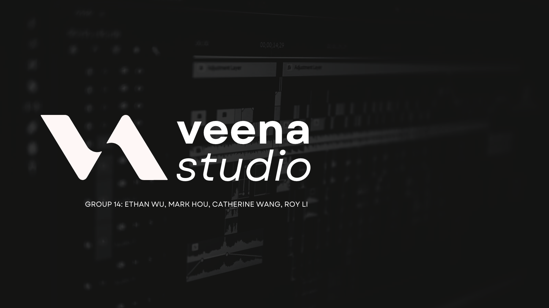 Veena project preview